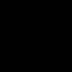 Meet your Posher, Donivyn